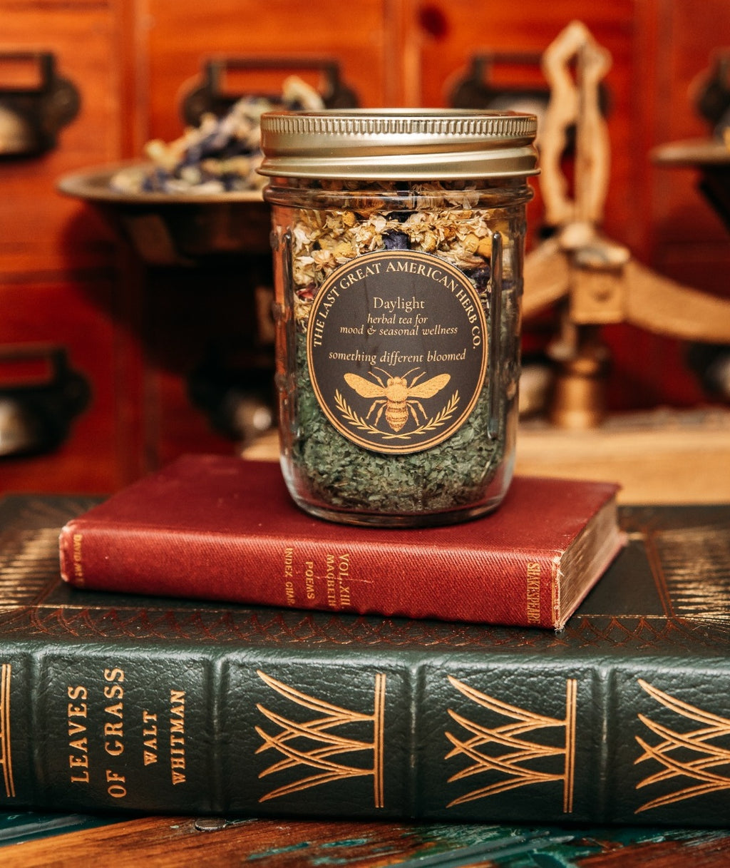 Daylight - Herbal Tea for Mood & Seasonal Balance