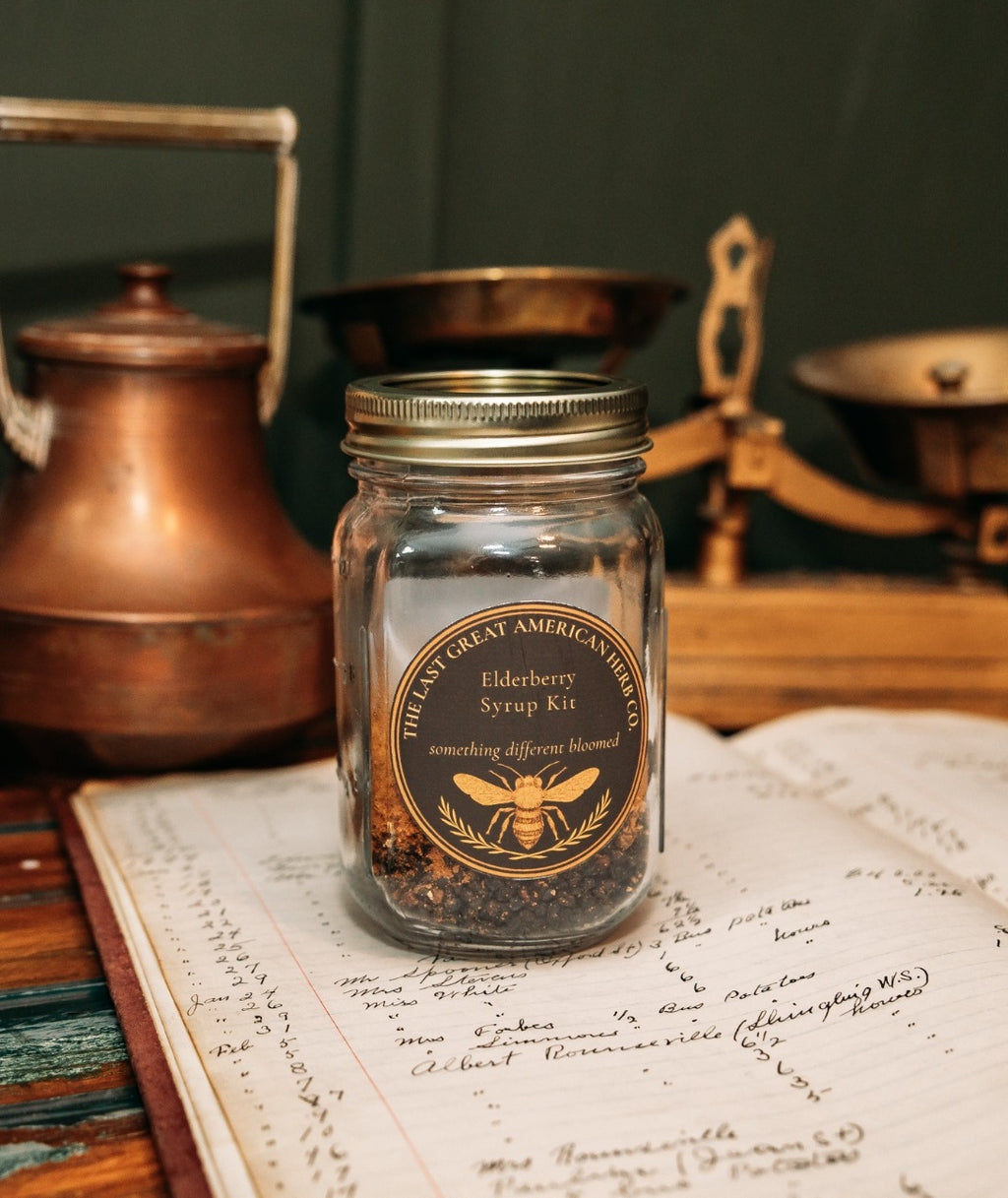 Elderberry Syrup Kit