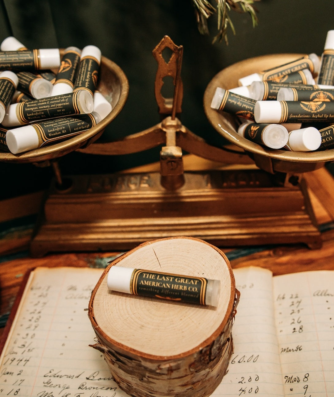 Lip Balm - Foundations
