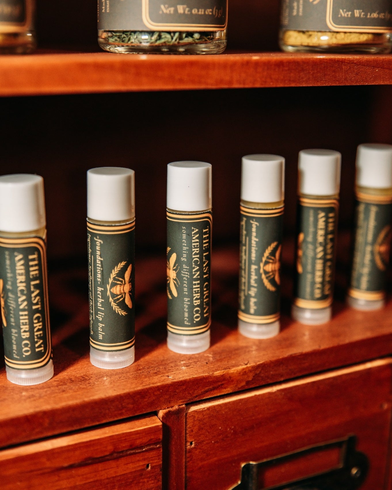 Lip Balm - Foundations